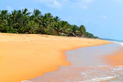 Прикрепленное изображение: _DSC0953.JPG